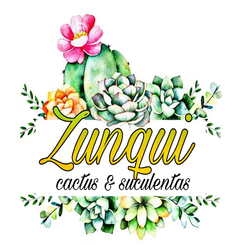 Zunqui Plantas Peru