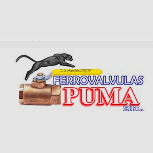 Ferro Válvulas Puma
