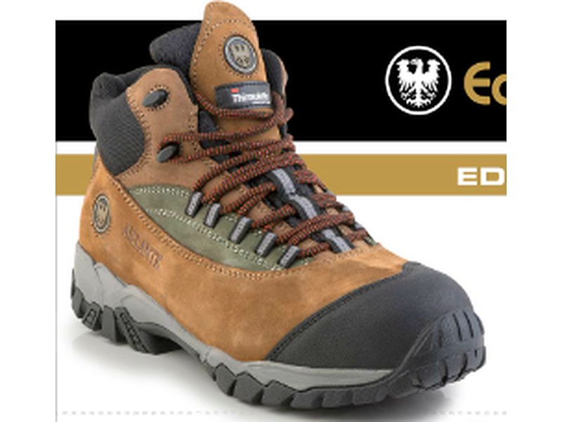 BOTIN DE SEGURIDAD ED 202 PERU