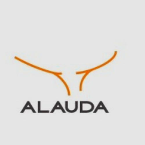 Alauda Ingeniería