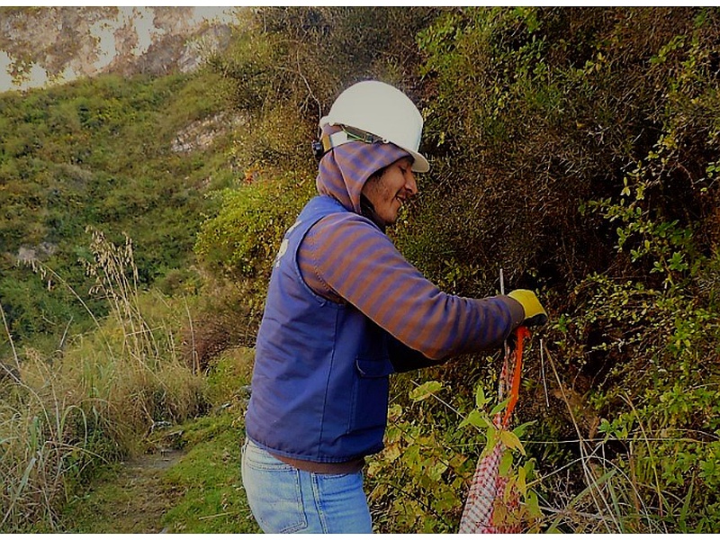  Declaración de Impacto Ambiental PERÚ