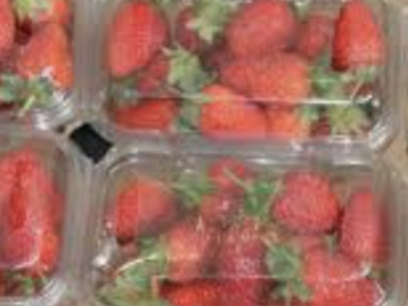 Envases de Alimentos de Plástico Perú