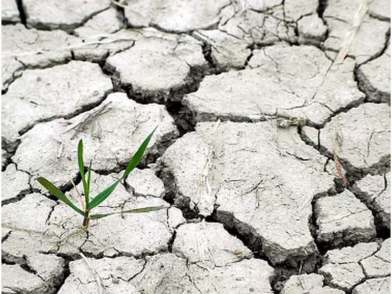 Capacitación especializada cambio climático PERÚ 