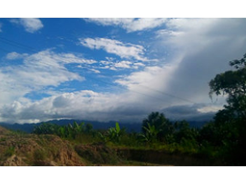 Estudios de Impacto Ambiental PERÚ