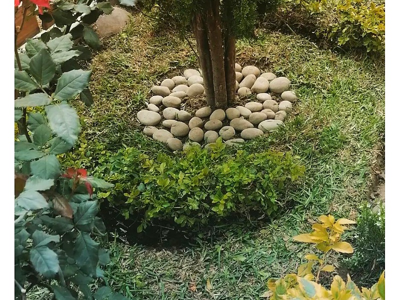 decoracion jardín Perú