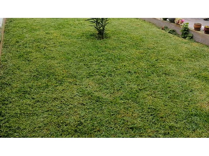 Mantenimiento  Jardín Perú