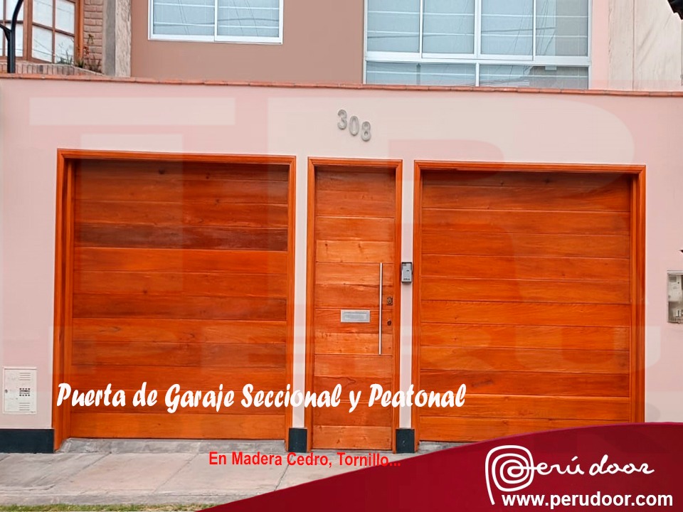 Juego de puerta peatonal y de garaje
