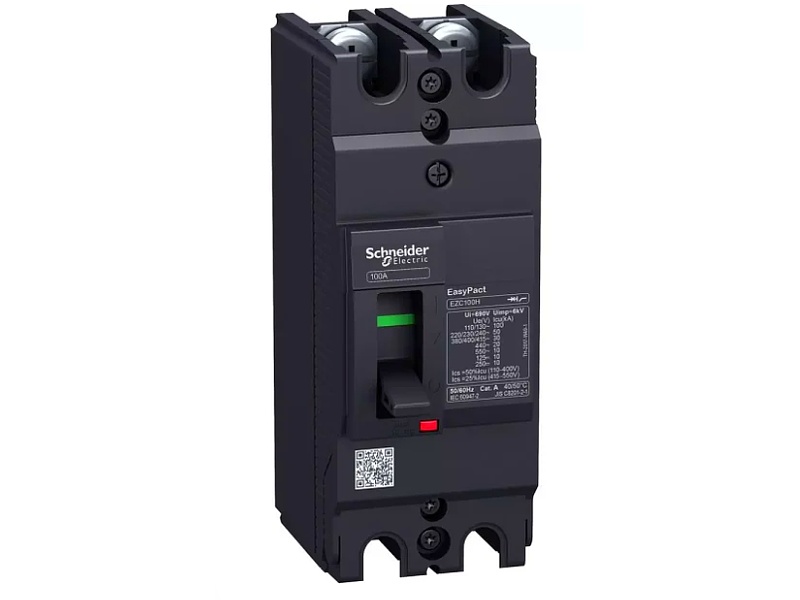 Interruptor caja moldeada 2P 100A 50KA/220V PERU