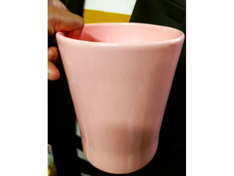 Macetas Rosa Perú