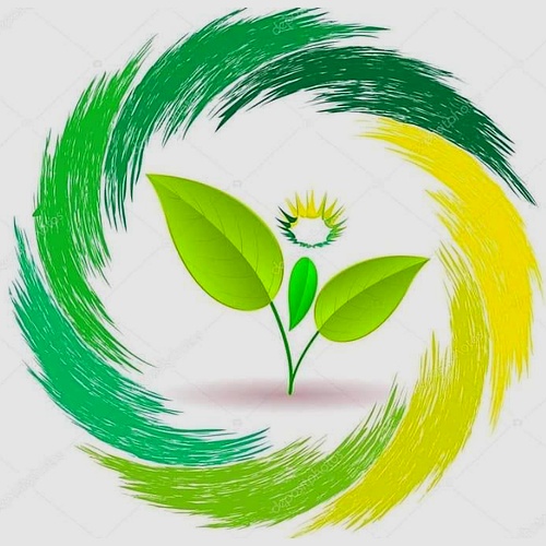 Las Plantas De Saju 