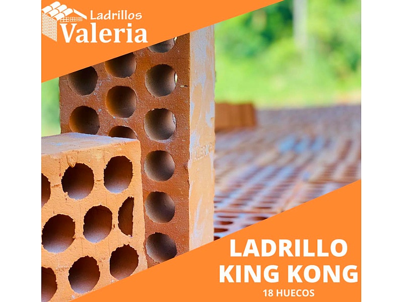 Ladrillos Estructurales Perú