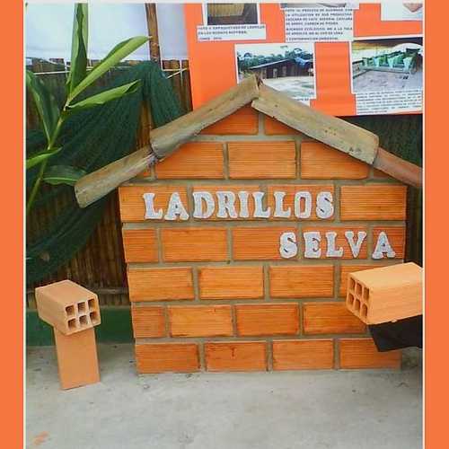 Ladrillos Selva