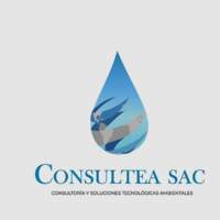 CONSULTEA SAC
