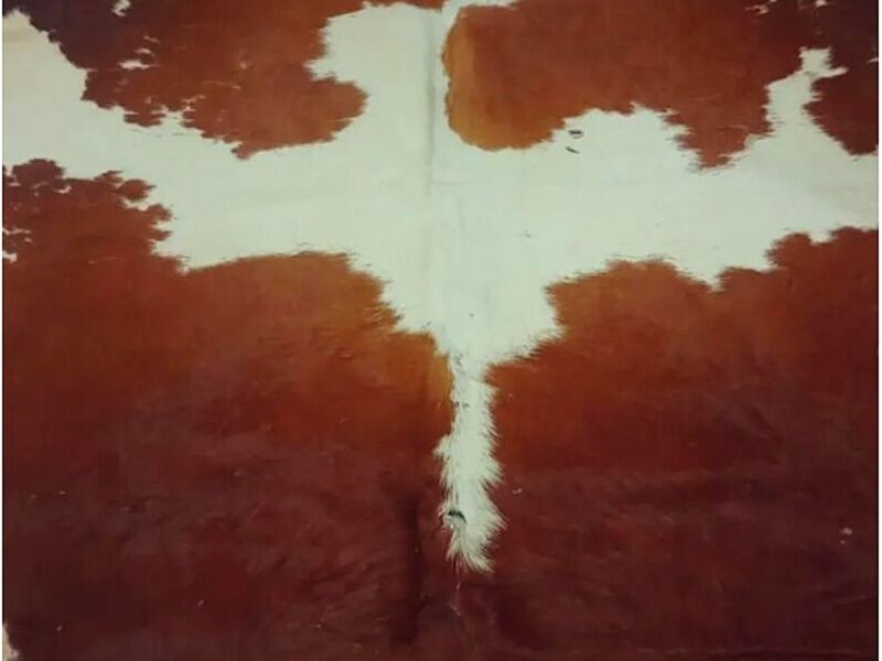  Alfombra de vacuno Perú