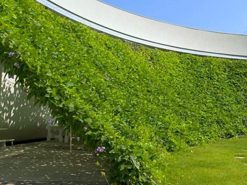 Servicio de Proyecto de Construcción Piura