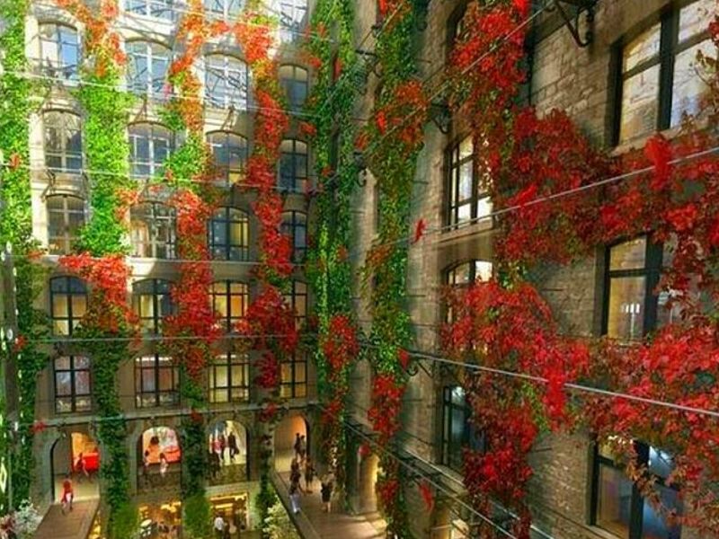 Servicio de Proyecto de Construcción Cuzco