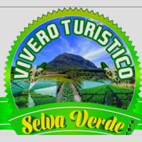 Vivero Selva Verde