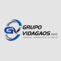 GRUPO VIDAGAOS SAC