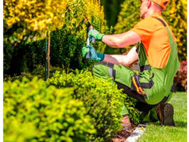 SERVICIO DE JARDINERÍA