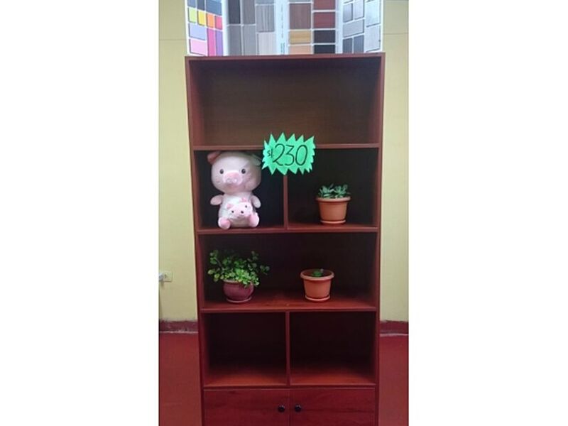 Organizador Perú