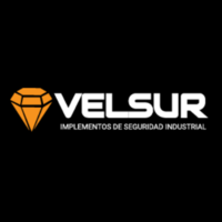 Grupo Velsur