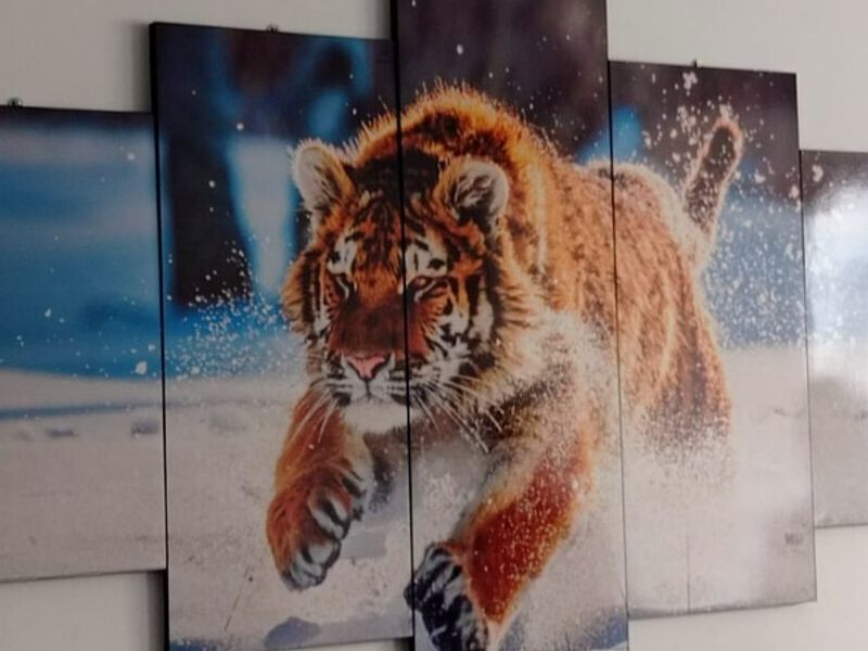 Cuadro Decorativo Tigre Perú