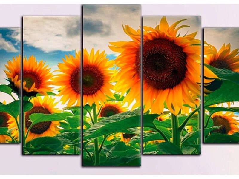 Cuadro Decorativo Girasoles Perú