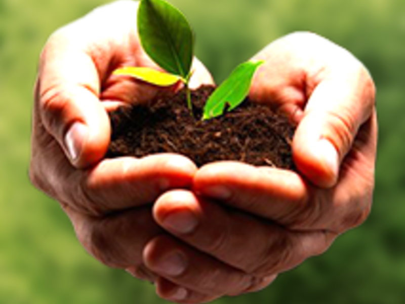 ABIARES-AG FUNGICIDA AGRÍCOLA Perú