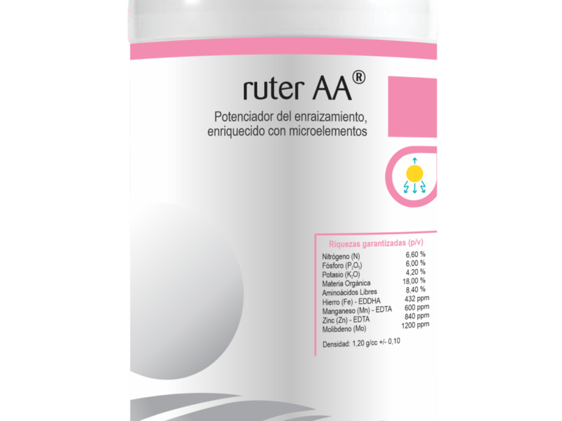 RUTER AA PErú