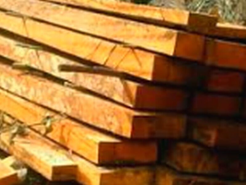 Madera mohena Perú