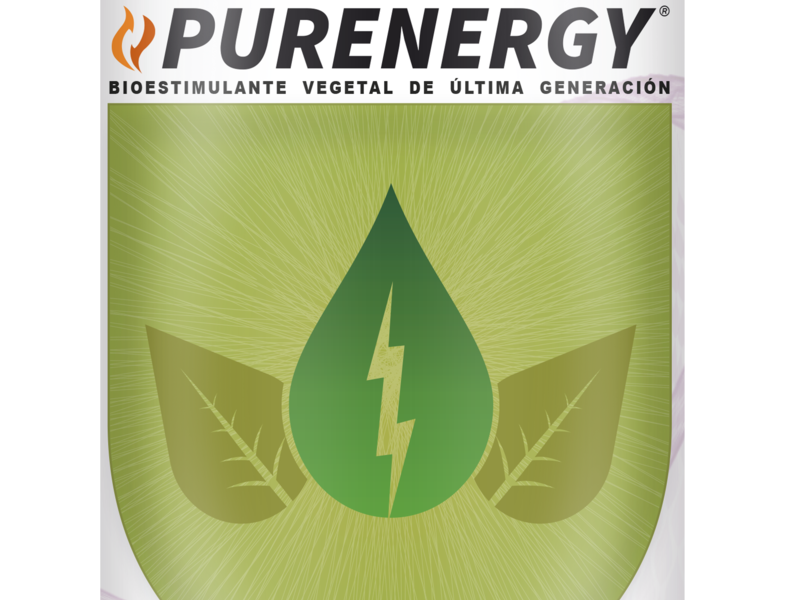 PURENERGY PErú