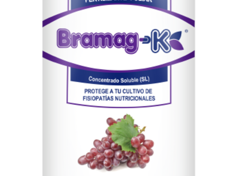 BRAMAG-K Perú