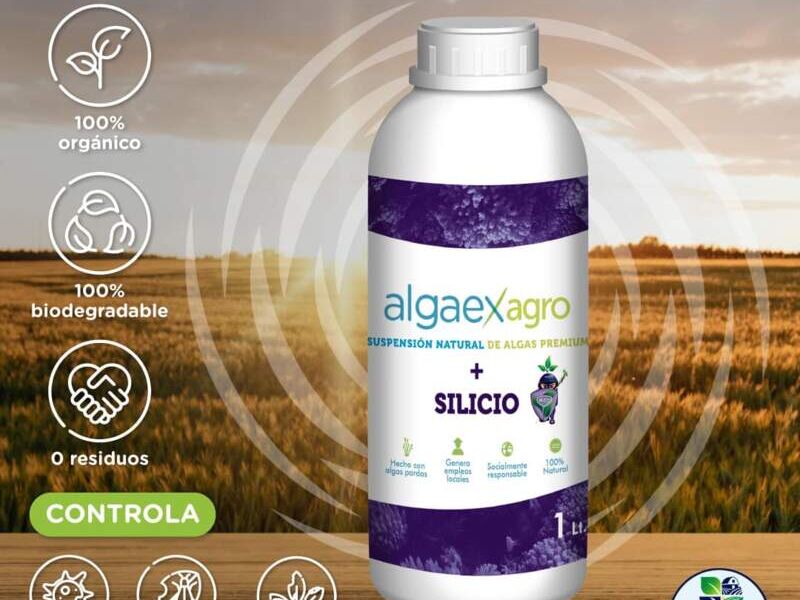 Silicio orgánico + algas marinas Perú
