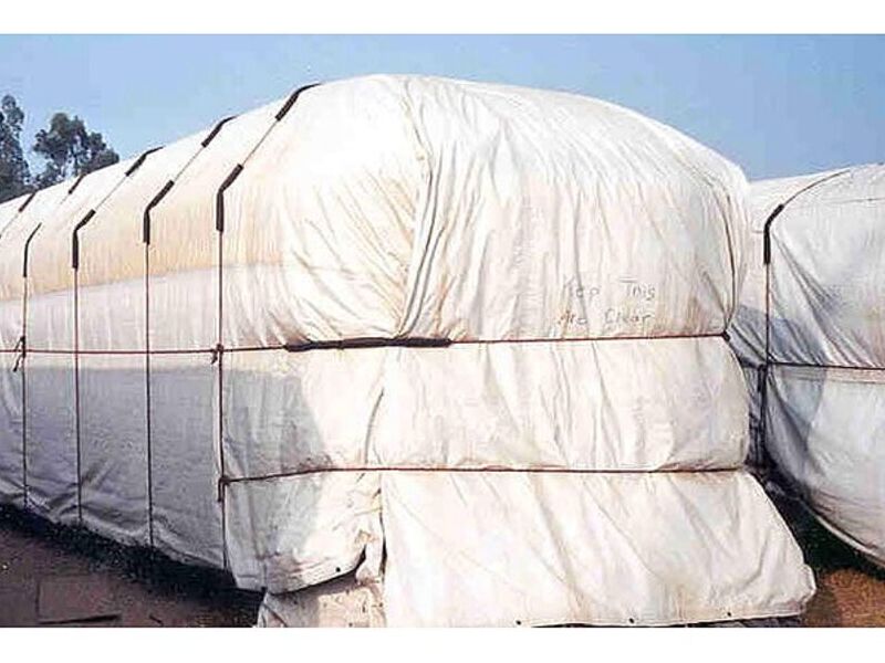 Carpas blancas peru
