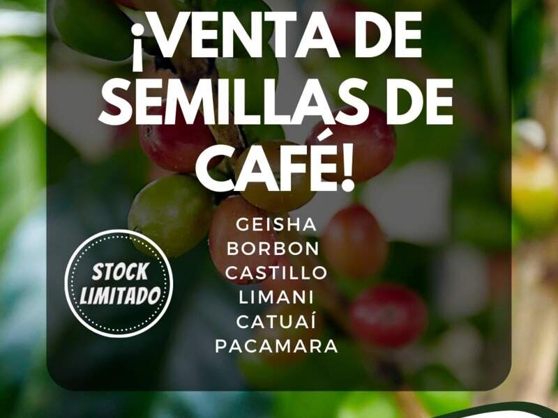 Semillas Café