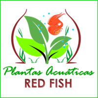 Plantas Acuaticas Red Fish