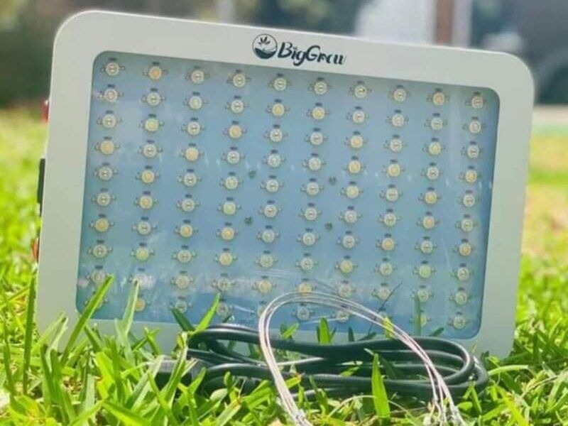 Luz jardín Peru