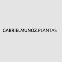 Gabriel Muñoz Plantas