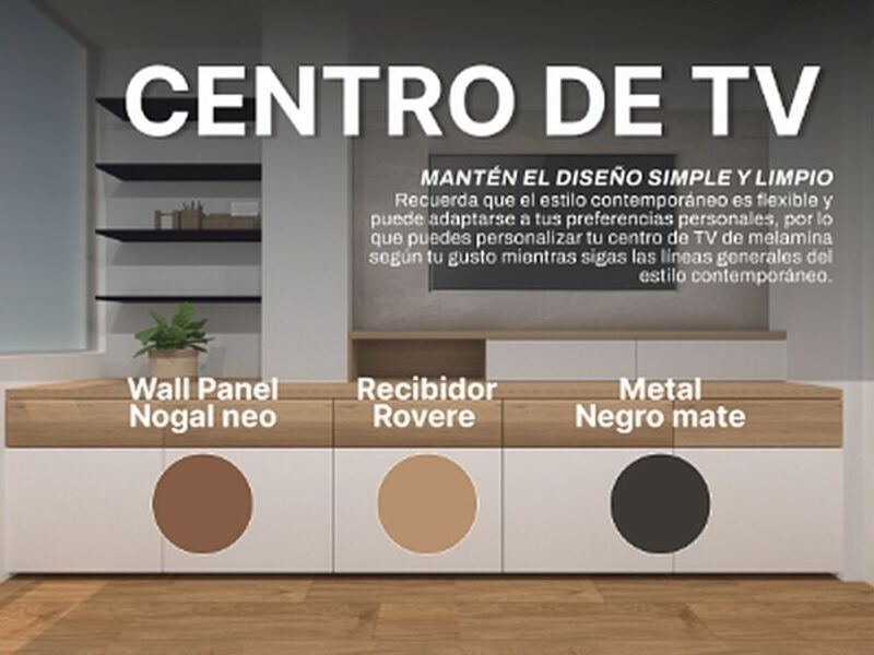 CENTRO DE TV - ICA