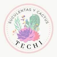 Suculentas y cactus techy