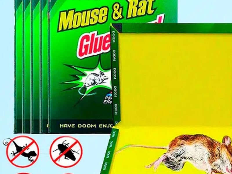 Trampas pegantes para ratón Perú