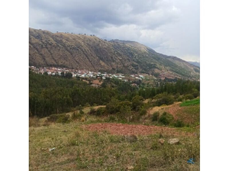 Inmobiliaria 1600m2 Peru