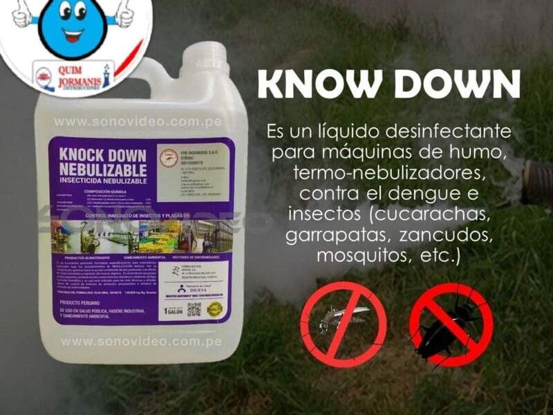 Know Down Perú