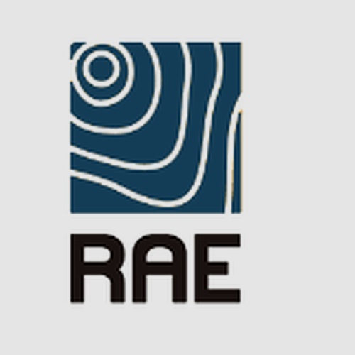 CONSULTORIA RAE 