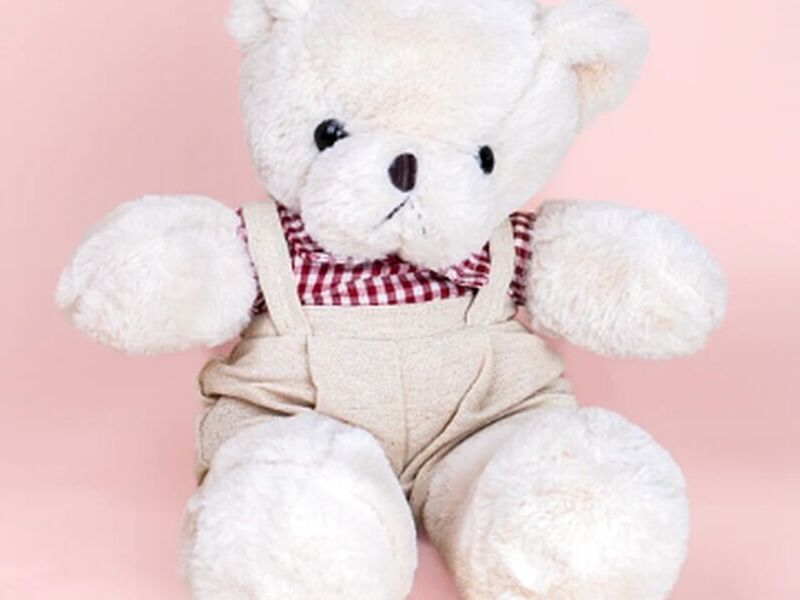 TEDDY OSITO ROPA PERÚ