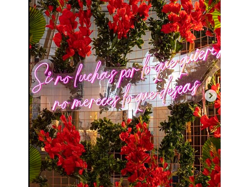 Decoración de cesped Perú