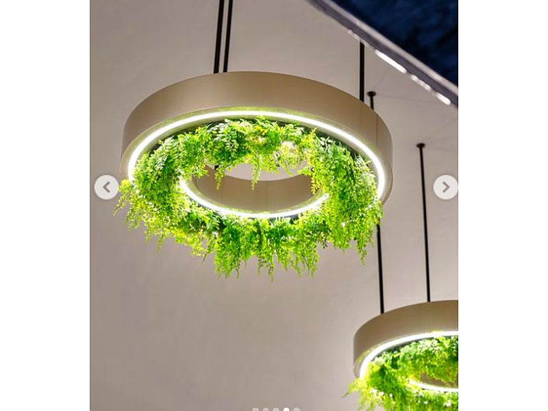 Lámparas colgantes Perú