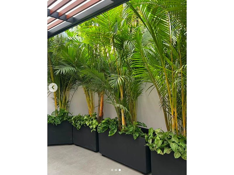 Maceteros para decoración Perú