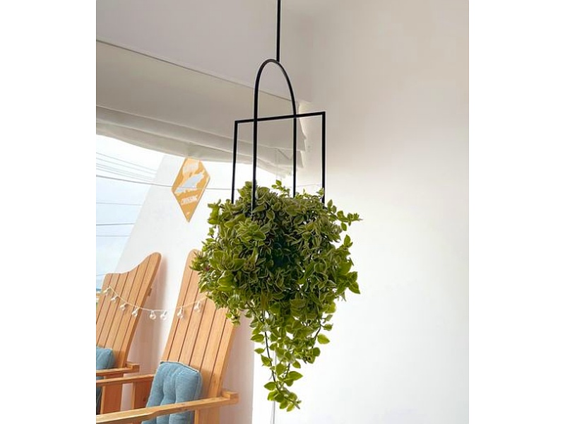 Decoración colgante de plantas Perú