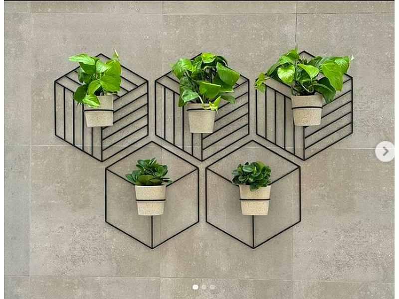 Decoración y adornos de plantas Perú